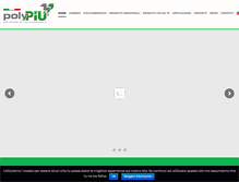 Tablet Screenshot of polypiu.it